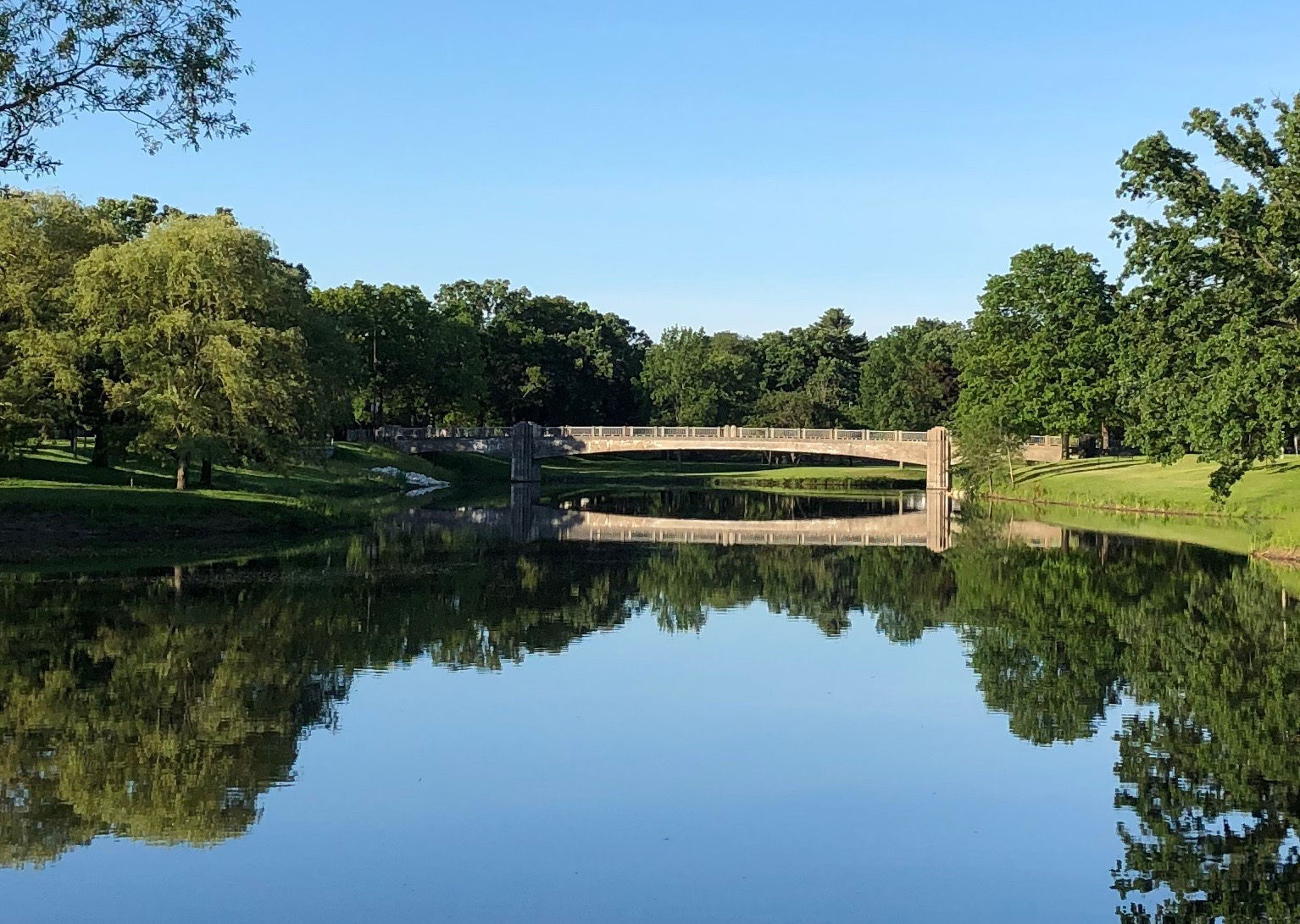 Mark Juliani: Lincoln Park lagoon